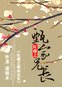 《（红楼同人）红楼之甄家兄长》 作者：迷榖木 txt文件大小：941.22 KB