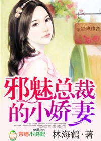 《邪魅总裁的小娇妻》 作者：林海鹤 txt文件大小：330.8 KB