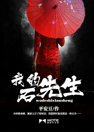 《我的石先生》 作者：平安豆 txt文件大小：3.14 MB