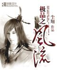 《极品之风流》 作者：尘翔 txt文件大小：4.32 MB