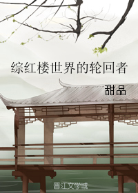《（红楼同人）综红楼世界的轮回者》 作者：甜品 txt文件大小：606.36 KB