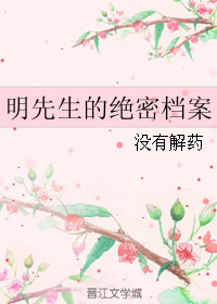 《（伪装者同人）明先生的绝密档案》 作者：没有解药 txt文件大小：30.75 KB