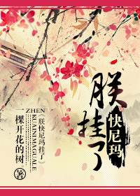 《朕快尼玛挂了》 作者：一棵开花的树。 txt文件大小：256.75 KB