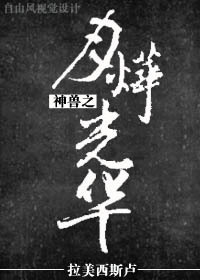 《神兽之月烨光华》 作者：拉美西斯卢 txt文件大小：214.08 KB