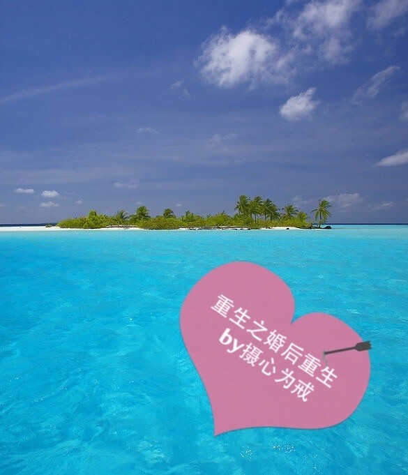 《重生之婚后重生》 作者：摄心为戒 txt文件大小：291.07 KB