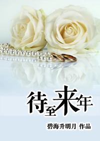 《待至来年gl：当22岁遇上32岁》 作者：碧海升明月 txt文件大小：578.67 KB