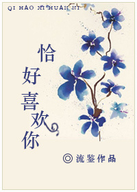 《恰好喜欢你》 作者：流鉴 txt文件大小：277.71 KB