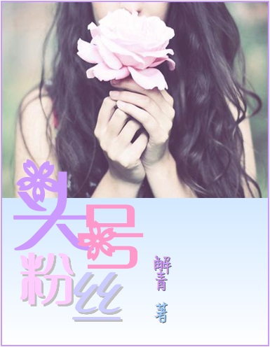 《头号粉丝》 作者：解青 txt文件大小：331.54 KB