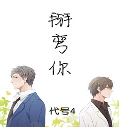 《掰弯你》 作者：代号4 txt文件大小：342.96 KB