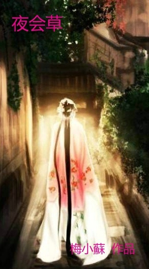 《（盗墓笔记同人）[启红]夜会草》 作者：梅小蘇/梅小苏 txt文件大小：121.16 KB
