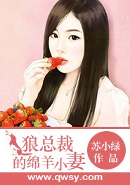 《狼总裁的绵羊小妻》 作者：苏小绿 txt文件大小：322.56 KB