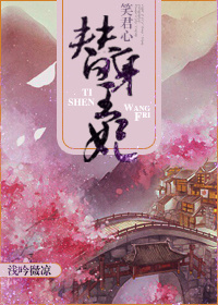 《笑君心之替身王妃》 作者：浅吟微凉 txt文件大小：1.03 MB