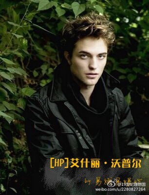 《（HP同人）[HP]艾什丽·沃普尔》 作者：易燃易爆炸 txt文件大小：261.22 KB