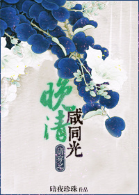 《清穿之晚清咸同光》 作者：暗夜珍珠 txt文件大小：121.4 KB