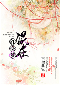 《（红楼同人）混在红楼梦》 作者：南梁北冠 txt文件大小：678.34 KB