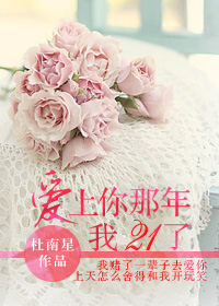 《爱上你那年我21了》 作者：杜南星 txt文件大小：377.31 KB