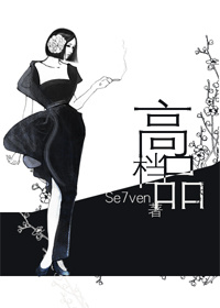 《高档品》 作者：Se7ven txt文件大小：330.52 KB