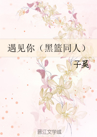 《（黑篮同人）遇见你》 作者：子奚 txt文件大小：152.72 KB