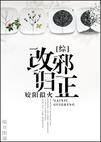 《（综影视同人）[综] 改邪归正》 作者：姣阳似火 txt文件大小：241.9 KB