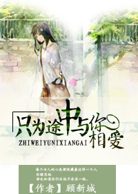 《只为途中与你相爱》 作者：顾新城 txt文件大小：429.78 KB