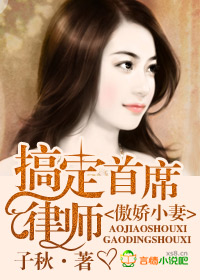 《傲娇小妻，搞定首席律师》 作者：子秋 txt文件大小：1.22 MB