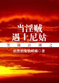 《（笑傲江湖同人）笑傲江湖之当淫贼遇上尼姑》 作者：怕黑怕鬼怕蟑螂 txt文件大小：564.74 KB