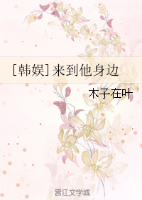 《（韩娱同人）[韩娱]来到他身边》 作者：木子在叶 txt文件大小：197.59 KB