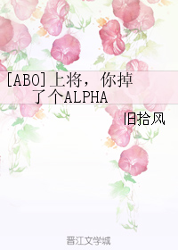 《[ABO]上将，你掉了个ALPHA》 作者：旧拾风 txt文件大小：342.48 KB