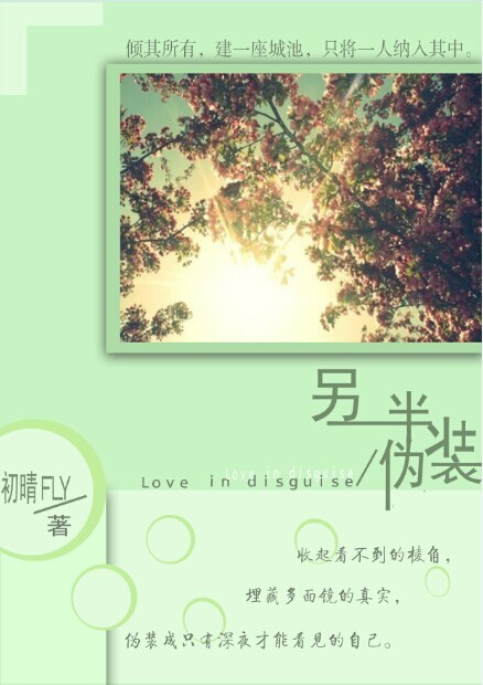 《另一半伪装》 作者：初晴FLY txt文件大小：352.04 KB