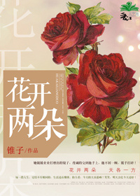 《花开两朵》 作者：锥子 txt文件大小：1.02 MB
