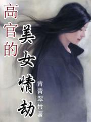 《邂逅女设计师：高官情劫-高官的美女情劫》 作者：青青翠竹 txt文件大小：1.39 MB