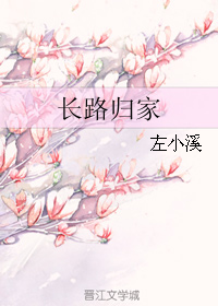 《长路归家》 作者：左小溪 txt文件大小：411.77 KB