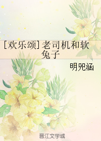 《（欢乐颂同人）[欢乐颂]老司机和软兔子》 作者：明兕涵 txt文件大小：360.72 KB
