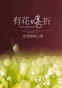 《有花堪折》 作者：夜雪猫猫 txt文件大小：314.37 KB