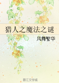 《（猎人同人）猎人之魔法之谜》 作者：风舞繁华 txt文件大小：261.63 KB