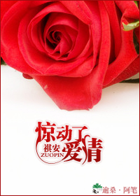《惊动了爱情》 作者：祺安 txt文件大小：312.56 KB