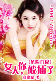 《危险首席：女人，你被捕了》 作者：向晚晴 txt文件大小：1.24 MB