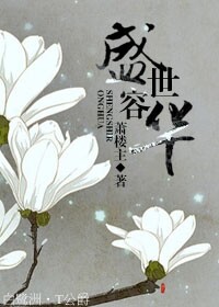 《盛世容华》 作者：萧楼主 txt文件大小：373.72 KB