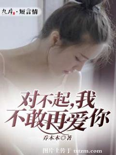 《对不起，我不敢再爱你》 作者：乔木木 txt文件大小：143.65 KB