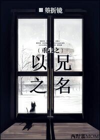 《重生之以兄之名》 作者：箜折镜 txt文件大小：170.85 KB