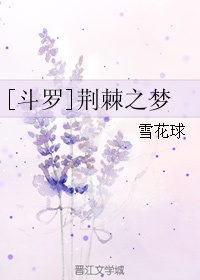 《（斗罗同人）[斗罗]荆棘之梦》 作者：雪花球 txt文件大小：1.56 MB