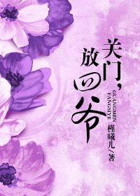 《关门，放四爷》 作者：槿曦儿 txt文件大小：1.17 MB