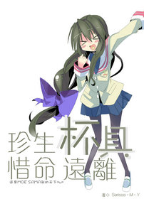 《（综漫同人）[综漫]珍惜生命 远离杯具》 作者：Serissa·M·Y txt文件大小：1.04 MB