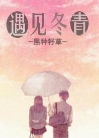 《遇见冬青》 作者：黑种籽草 txt文件大小：27.82 KB