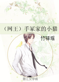 《（网王同人）手冢家的小猫》 作者：竹驿瑶风 txt文件大小：193.08 KB