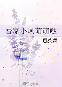 《吾家酗萌萌哒》 作者：风柒舞/風柒舞 txt文件大小：341.91 KB
