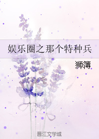 《（综同人）娱乐圈之那个特种兵》 作者：狮簿 txt文件大小：443.43 KB