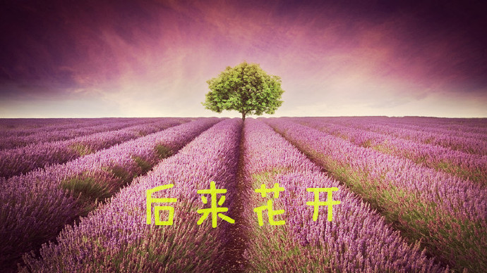 《后来花开》 作者：絮絮叨叨 txt文件大小：274.62 KB