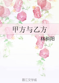 《甲方与乙方》 作者：林斜阳 txt文件大小：140.11 KB