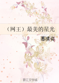《（网王同人）最美的星光》 作者：慕清姿 txt文件大小：240.1 KB